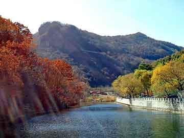 正版澳门天天开彩大全，风流天籁纸鸢